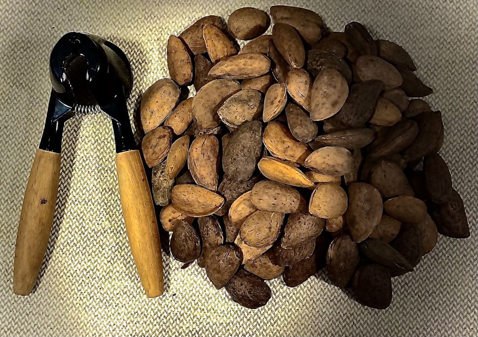 El cascanueces y las almendras