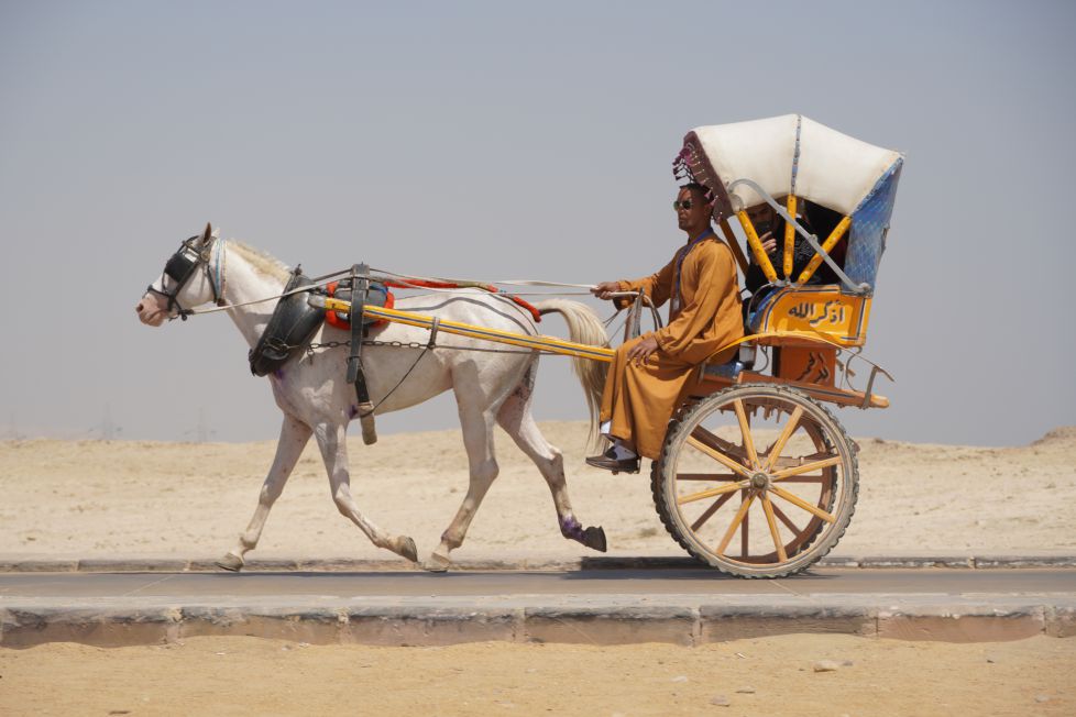 Cochero egipcio