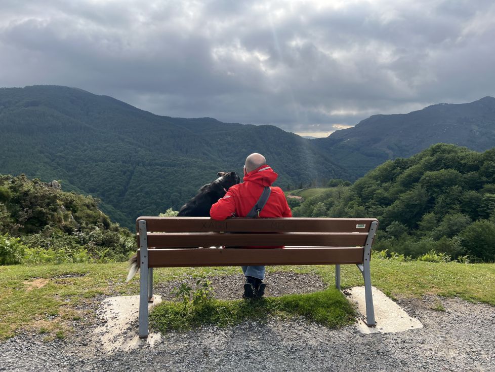 Compañeros de perripaseo
