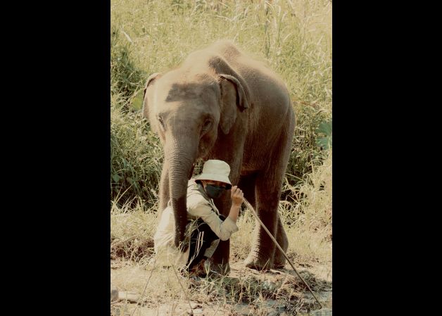 Complicidad y ternura