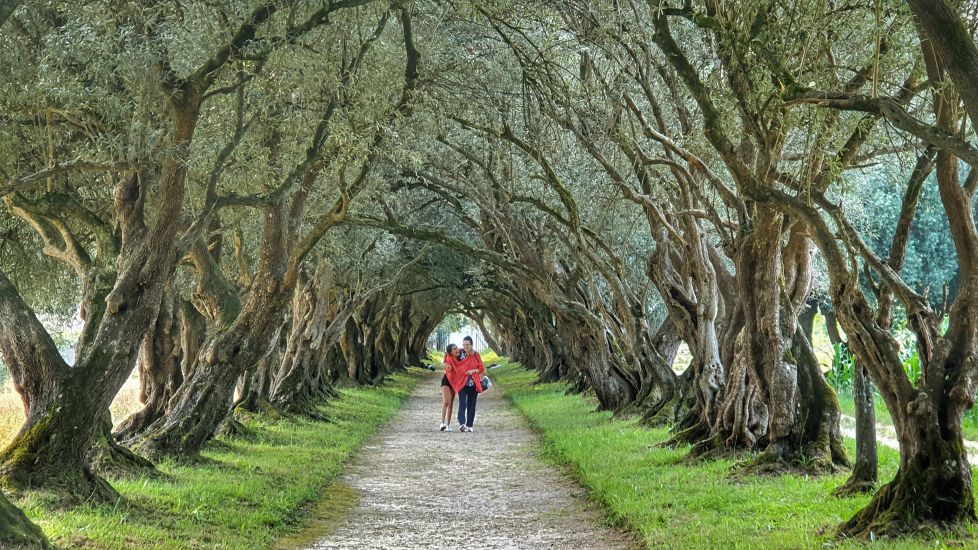 Confesiones entre risas