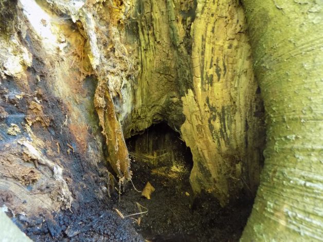 No es la cueva de Alí Baba.