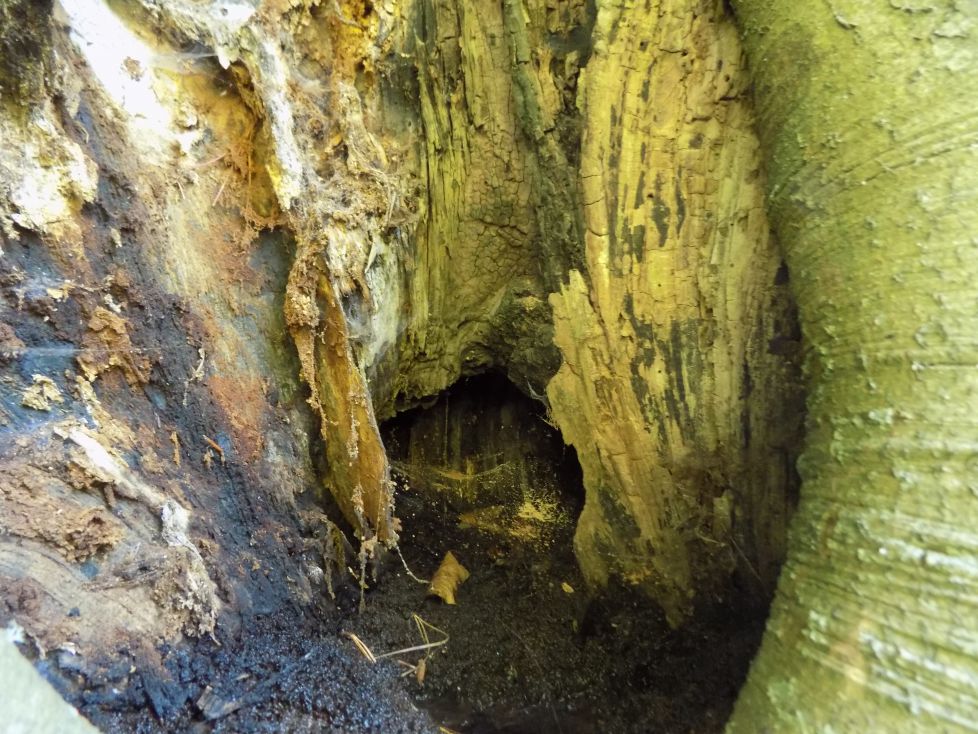 No es la cueva de Alí Baba.