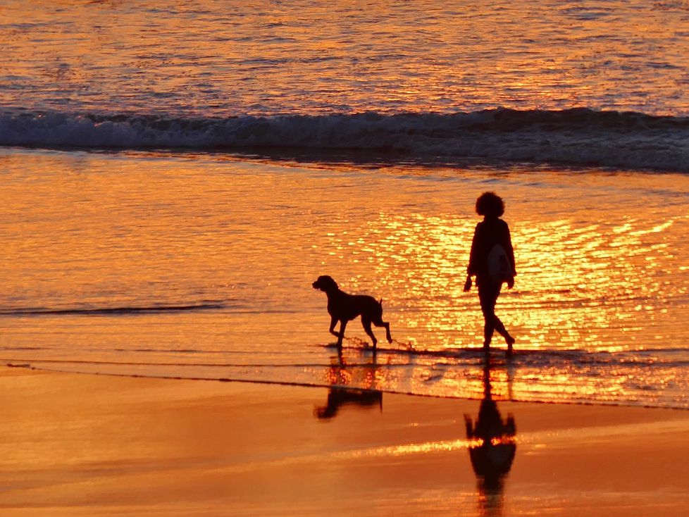 Dando un paseo en la playa