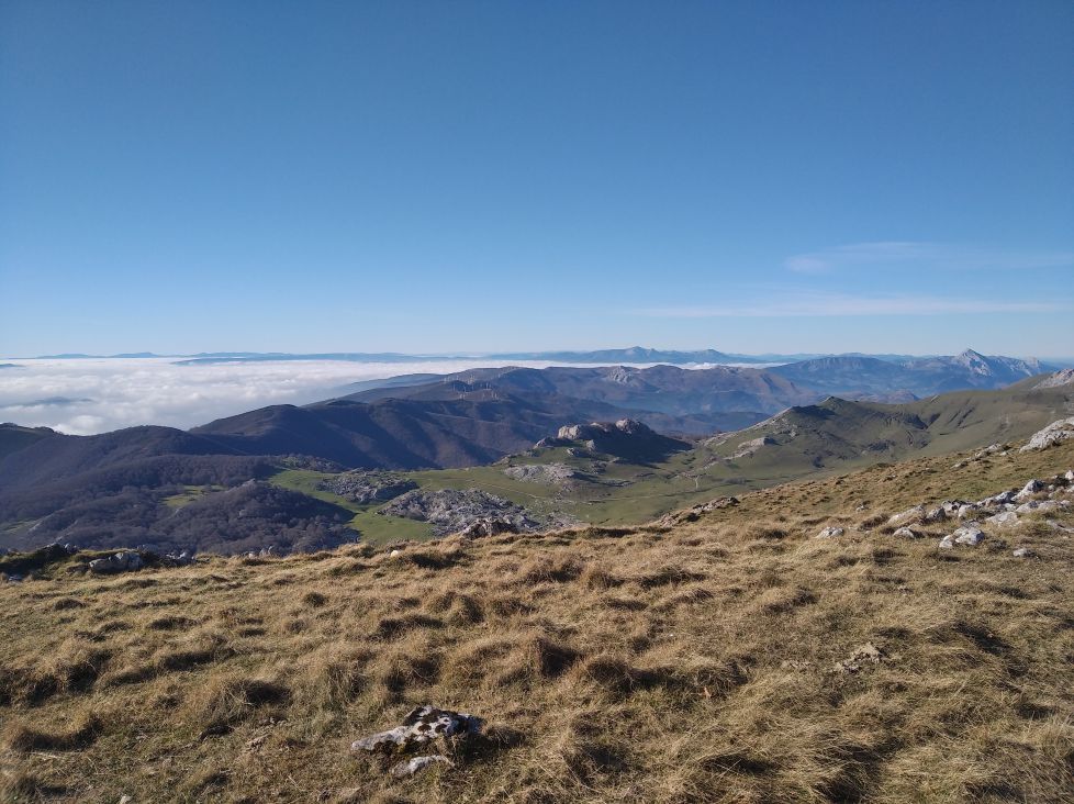 Desamparo en la inmensidad.