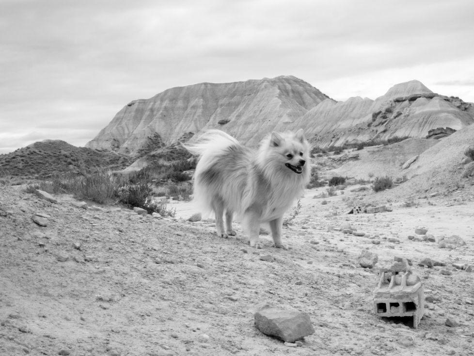 Dia en las bardenas