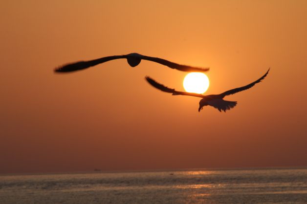 Eguzkia laztantzen/acariciando el sol