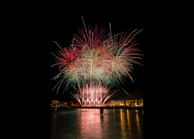 Fuegos artificiales silueta 