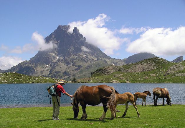 El hombre que susurraba a los caballos