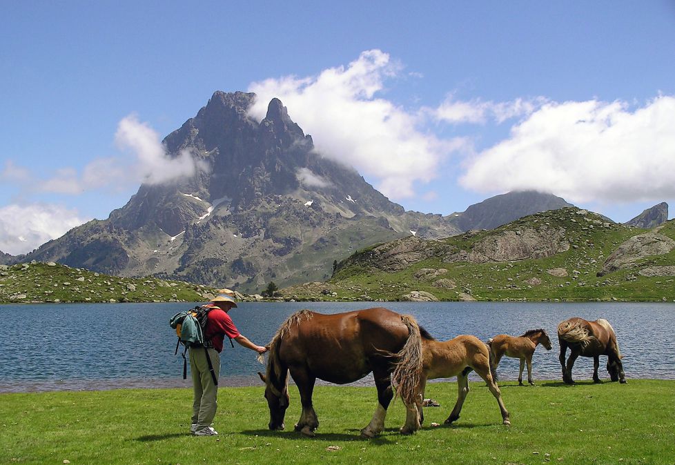 El hombre que susurraba a los caballos
