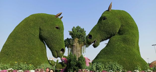 Jardín de las flores. 