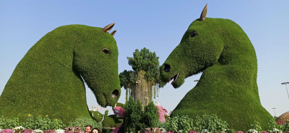 Jardín de las flores. 