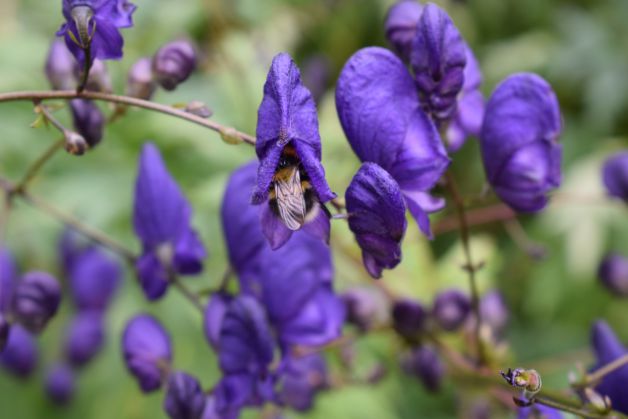 jugando al escondite