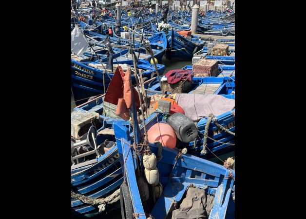 Kaos Organizado. Essaouira