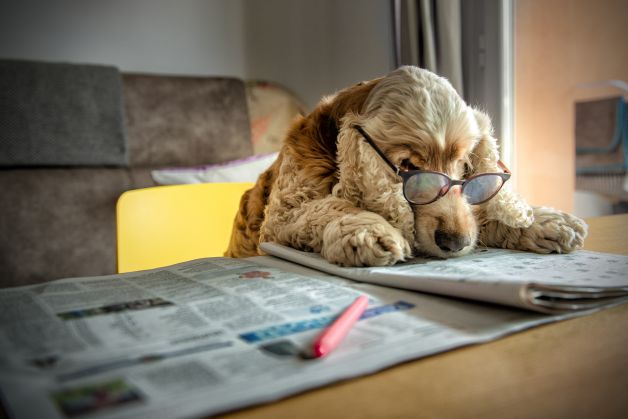 Las noticias del Diario