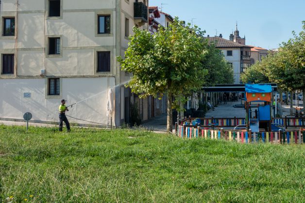 Los árboles también tiene sed