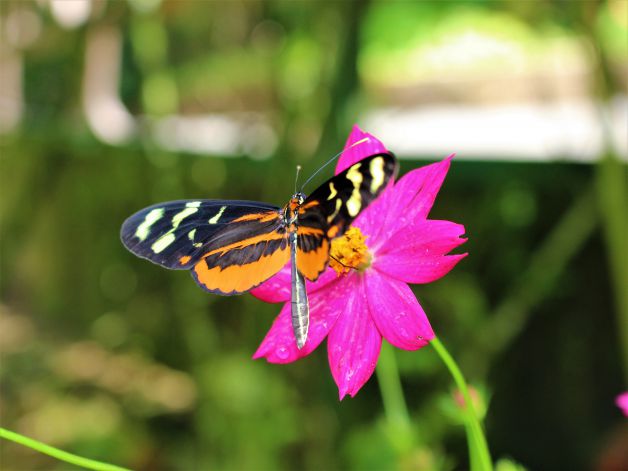 La magia en una foto