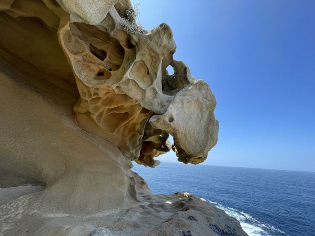 Un monstruo viene a vernos