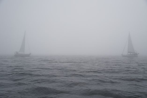 Navegando en la niebla