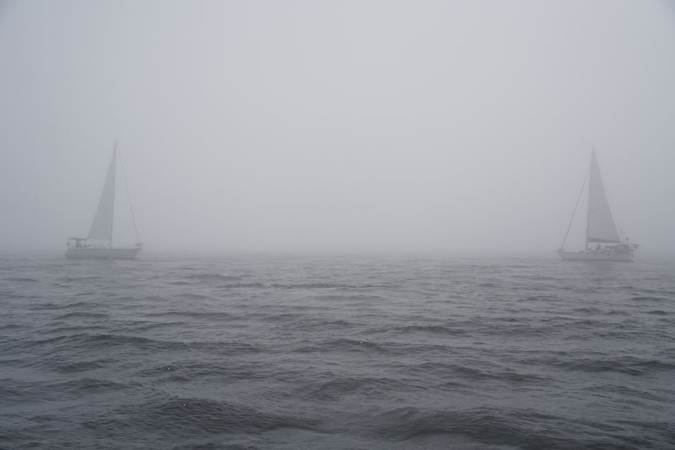 Navegando en la niebla