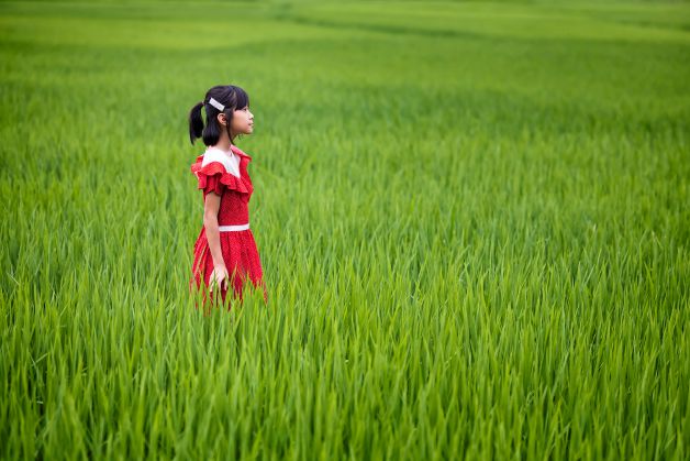 La Niña del Arrozal