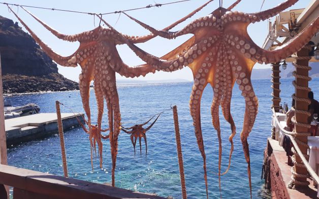 OLAGARROEN ORRAZIA - PEINE DE LOS PULPOS