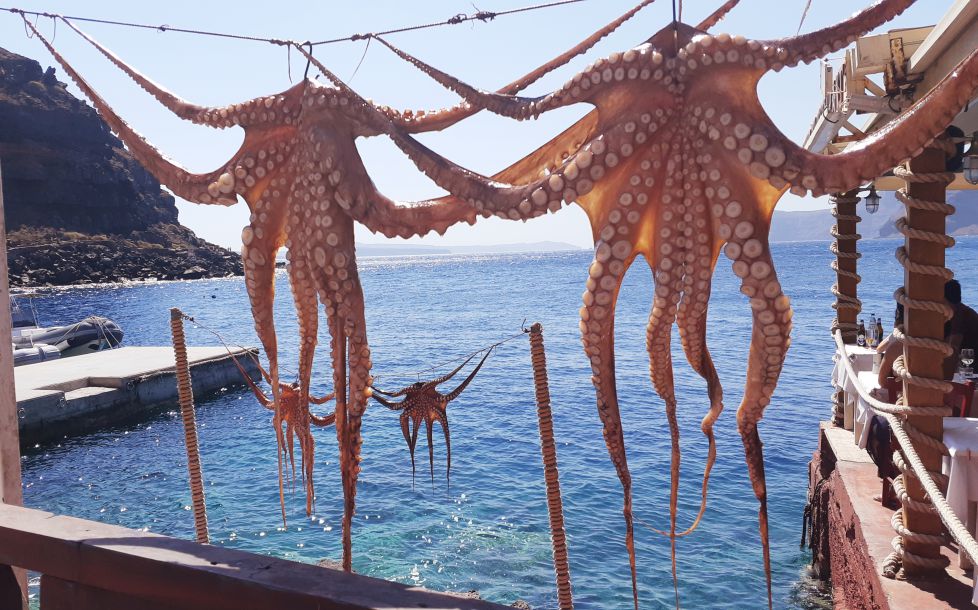 OLAGARROEN ORRAZIA - PEINE DE LOS PULPOS