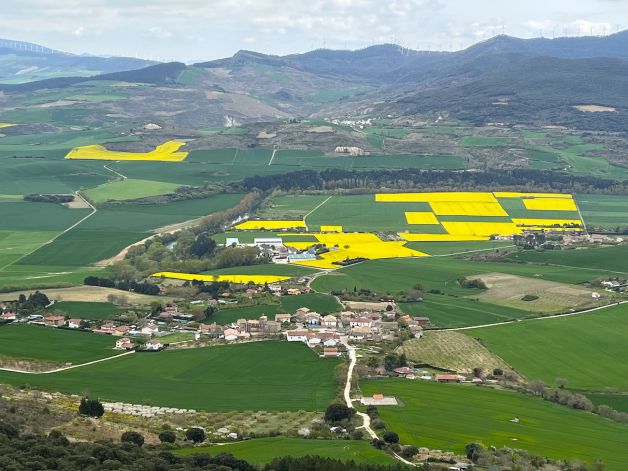 Paisaje de Ciriza ( Navarra)