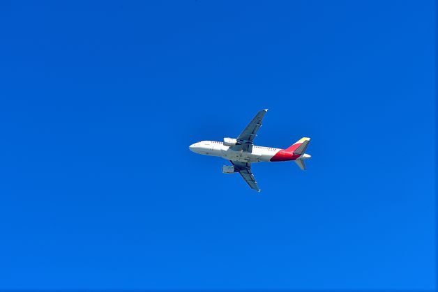 pajaro volando en el cielo azul