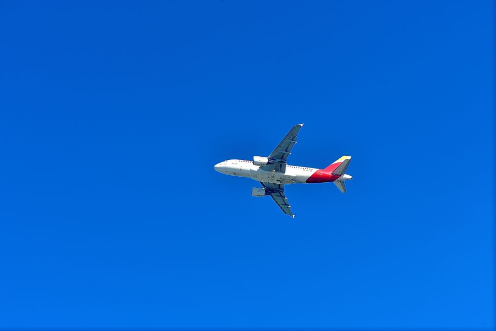 pajaro volando en el cielo azul