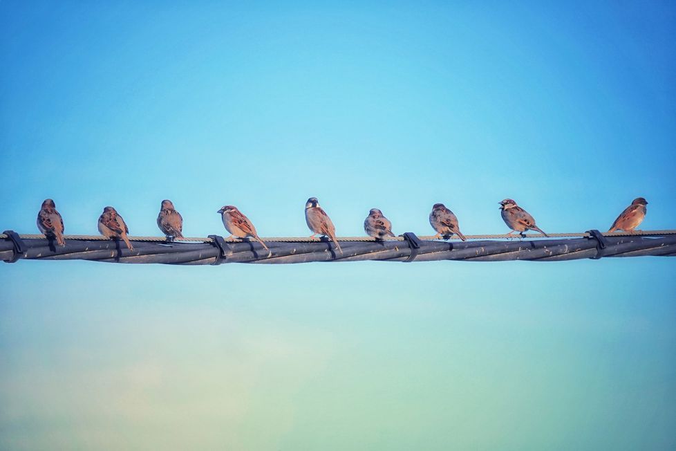 Paramos a descansar.  Sadaba (Zaragoza)