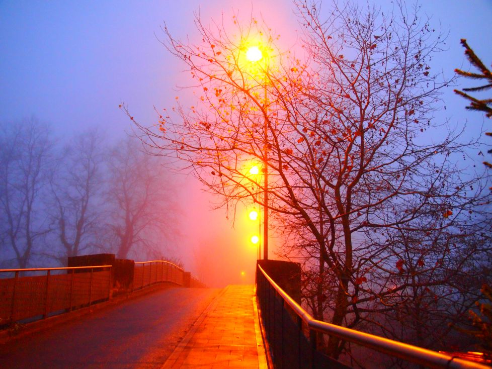 El puente iluminado