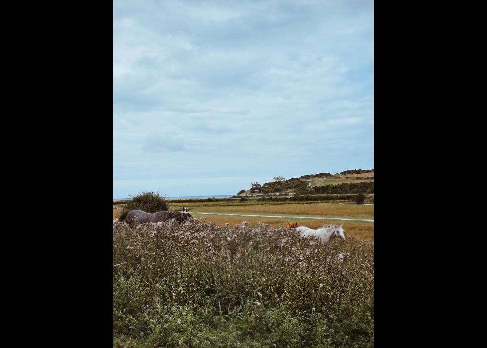 Seven Sisters Cliffs