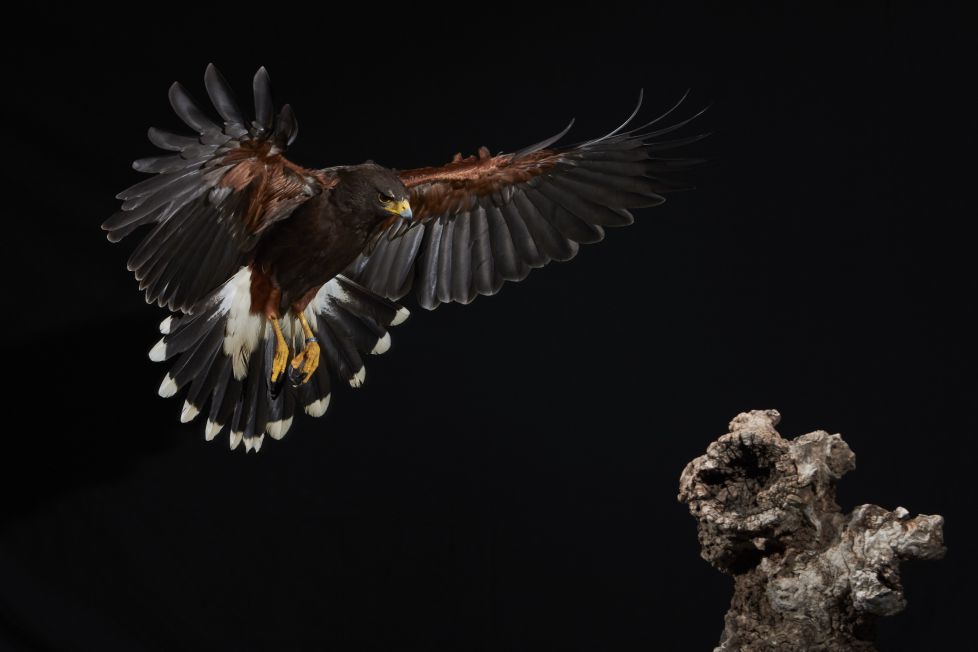 Siempre para adelante