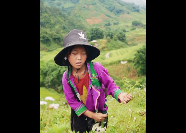 Superguía en los arrozales de Sapa, Vietnam