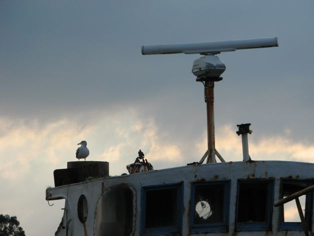 La tempestad se cierne...
