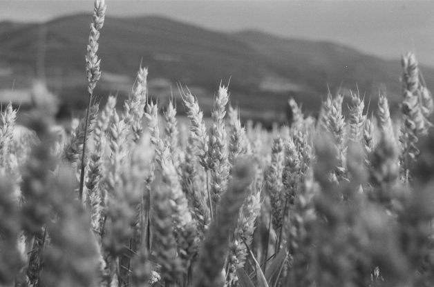 Tenemos este paisaje grabado en las retinas.