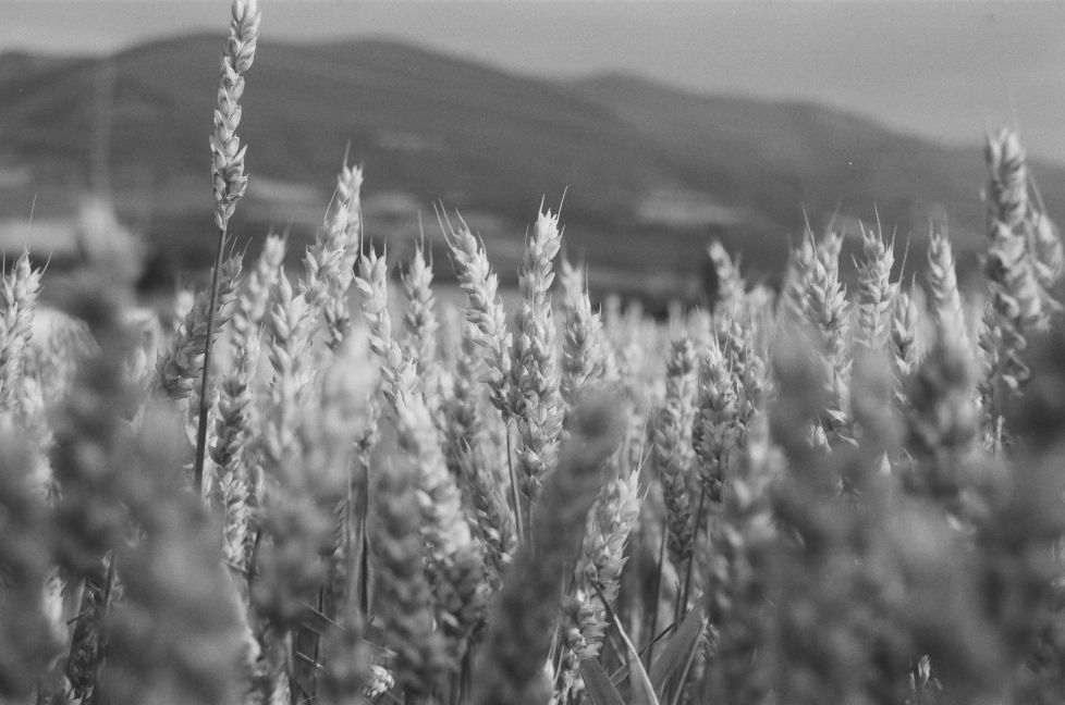 Tenemos este paisaje grabado en las retinas.