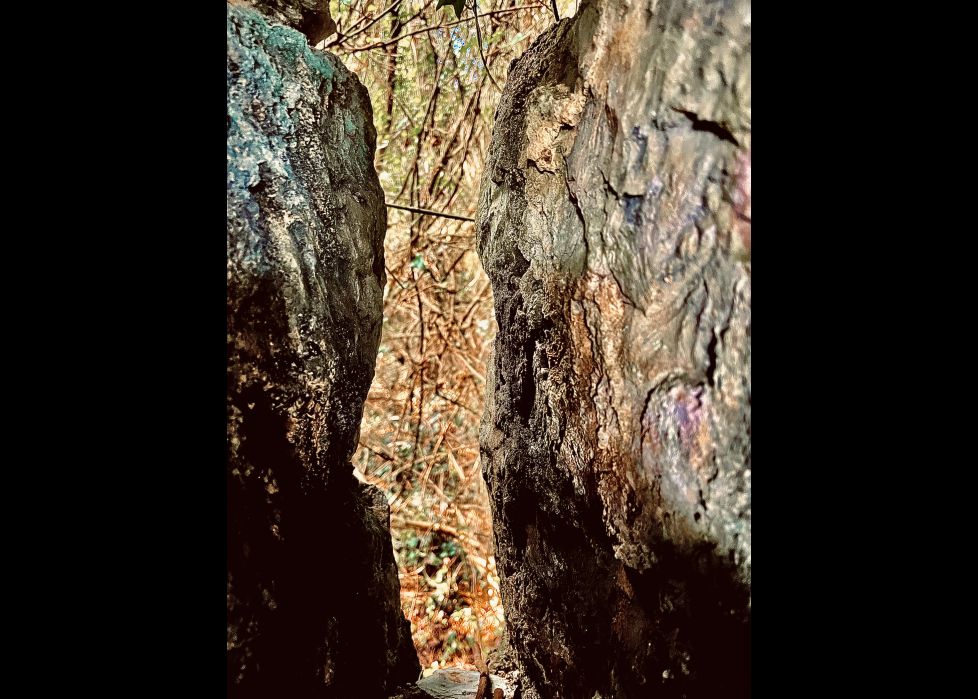 Una ventana con vistas a la naturaleza 