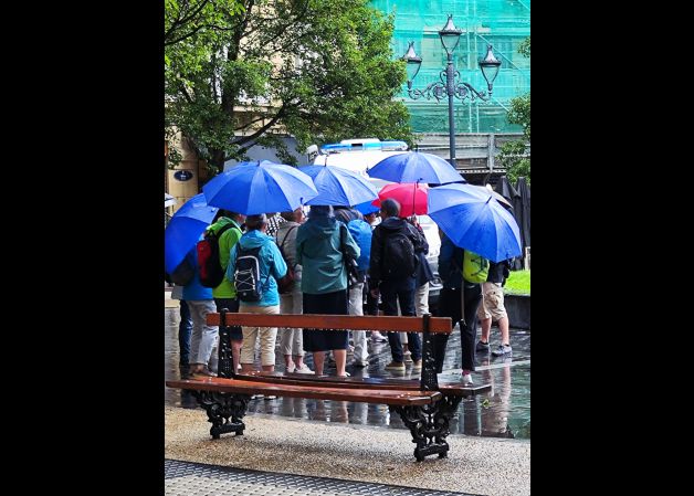 Veranito Donostiarra