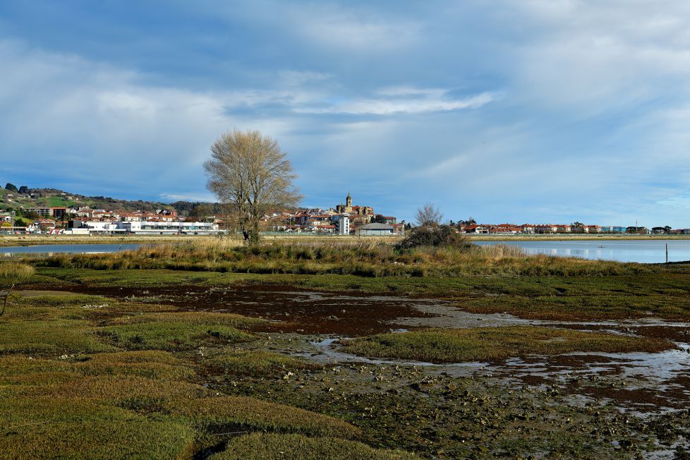 vista desde plaiaundi