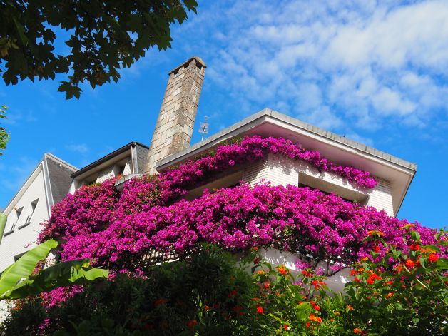 Casita con flores.