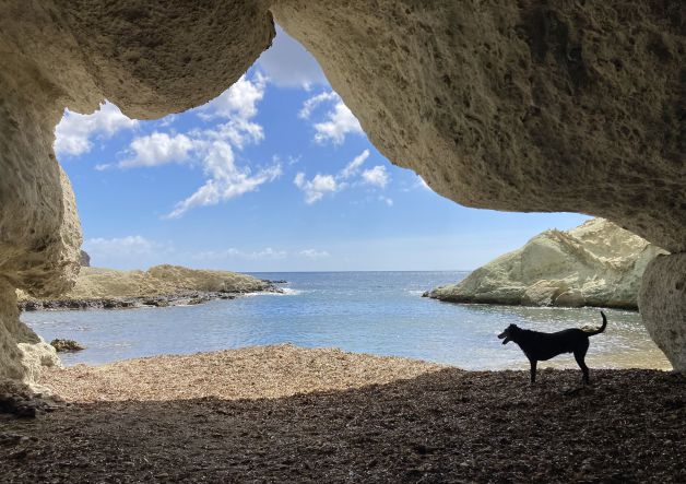 la cueva del perro