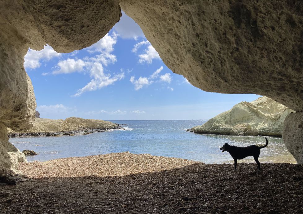 la cueva del perro