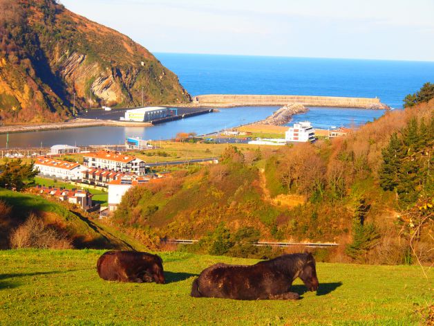 Desde San Martin de Orio