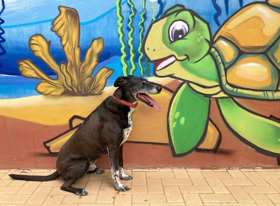 no se lo digas a nadie