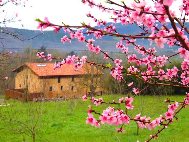 Entre flores el caserio