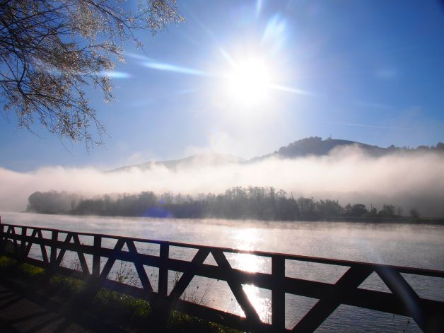 Entre la niebla y el sol