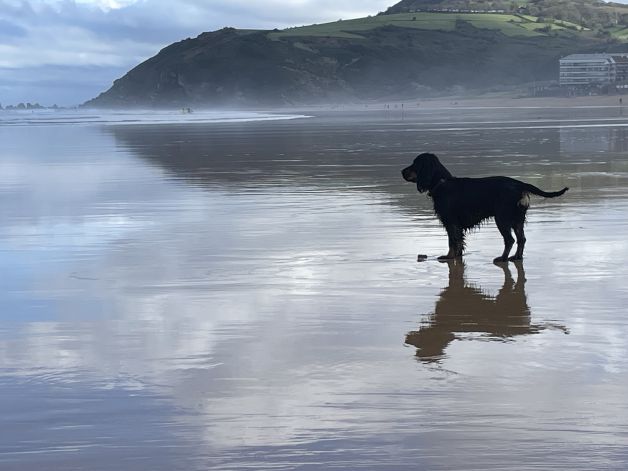 Esperando la ola perfecta