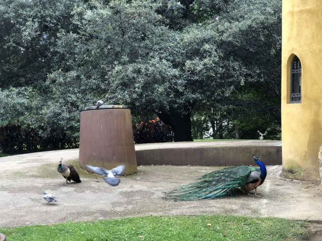 Juerga en Cristina Enea